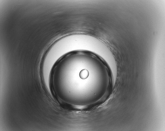 X0000089410244200706221140