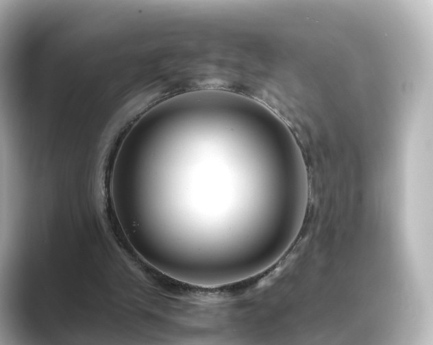 X0000089410245200706221140