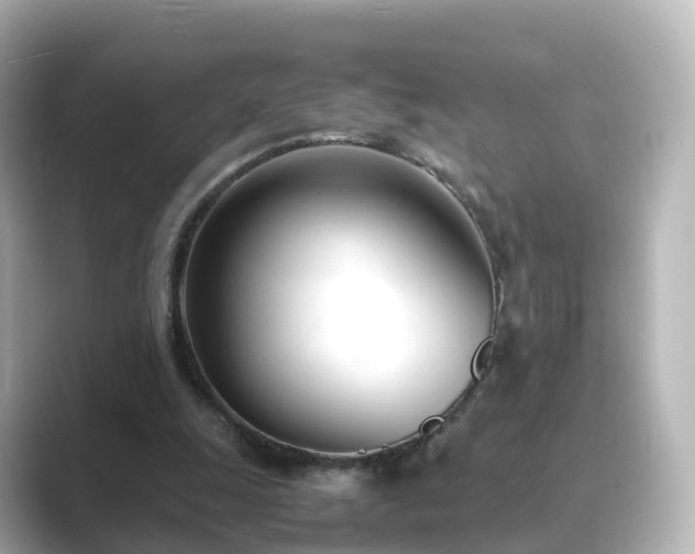 X0000089410247200706221140
