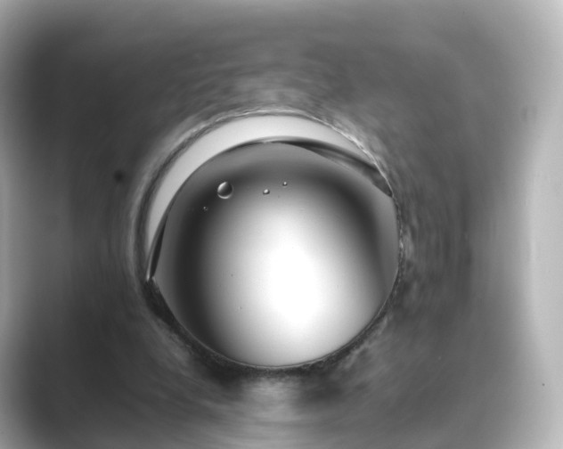 X0000089410248200706221140