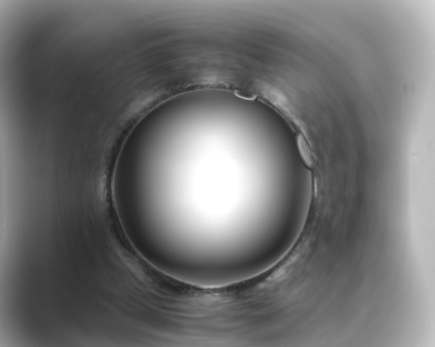 X0000089410249200706221140