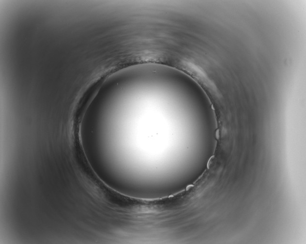 X0000089410250200706221140