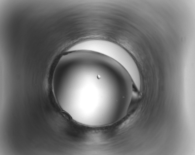 X0000089410252200706221140
