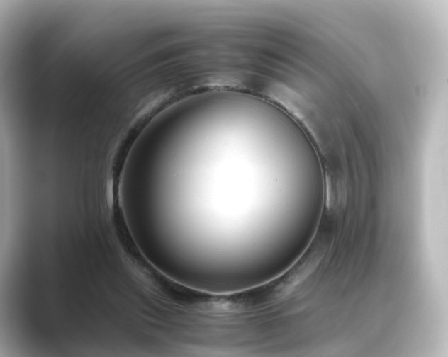 X0000089410253200706221140