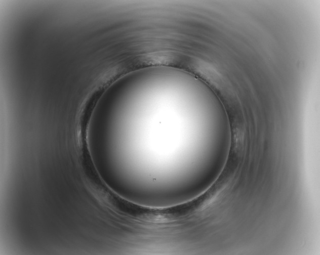X0000089410254200706221140