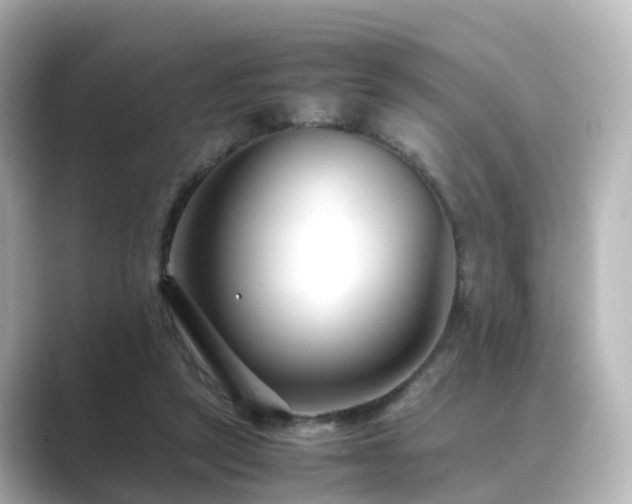 X0000089410257200706221140