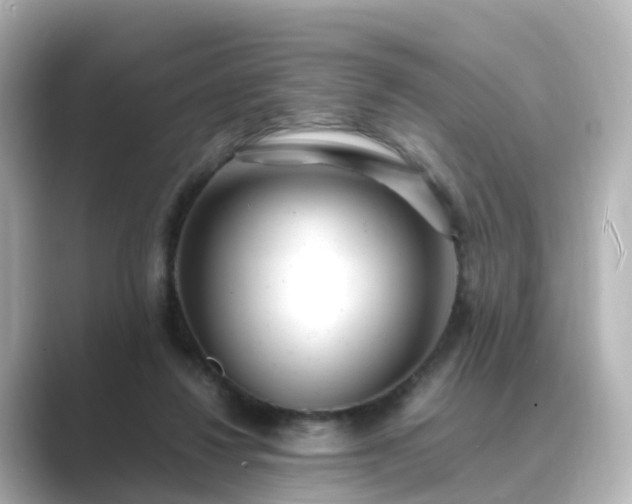 X0000089410260200706221140