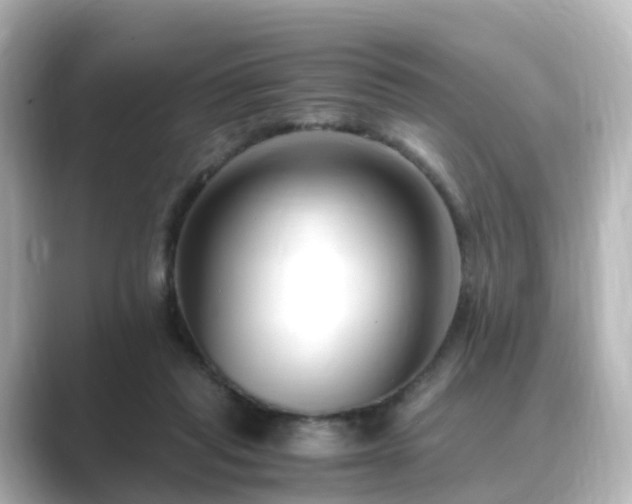 X0000089410261200706221140