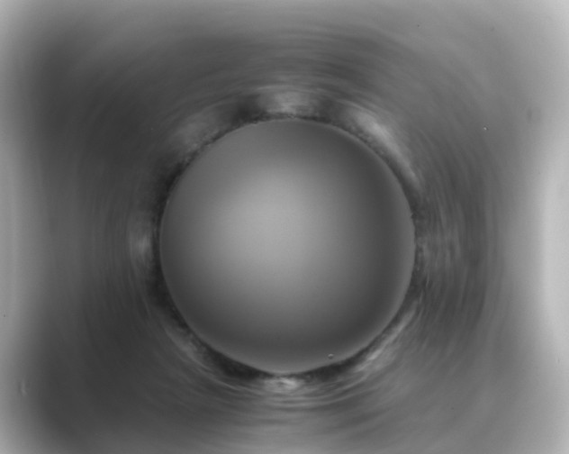 X0000089410265200706221140