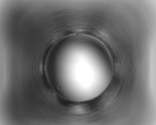X0000089410267200706221140