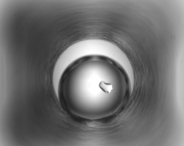 X0000089410268200706221140