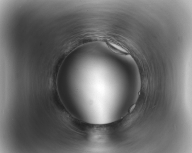 X0000089410270200706221140
