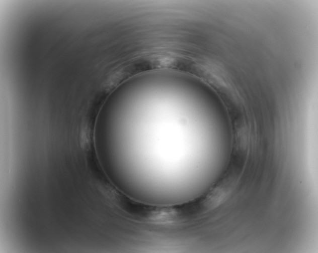 X0000089410274200706221141