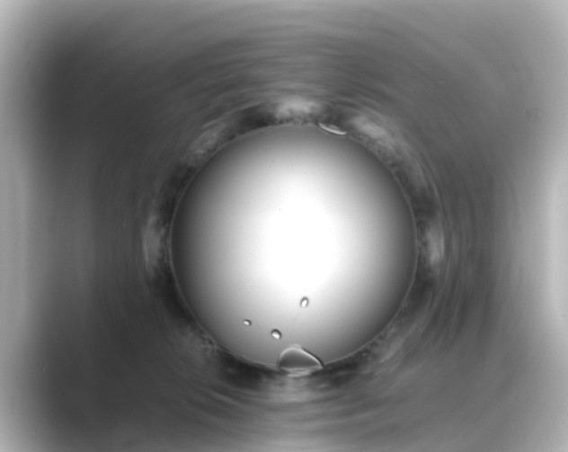 X0000089410276200706221141