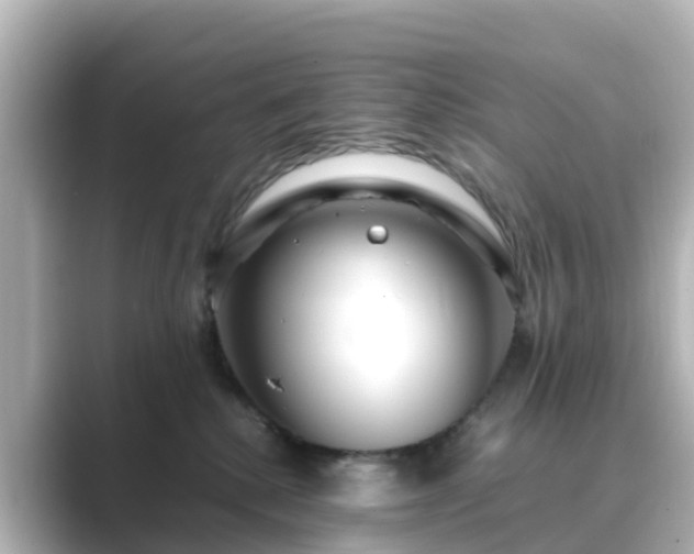 X0000089410280200706221141