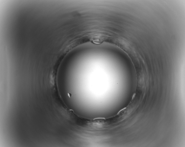X0000089410282200706221141