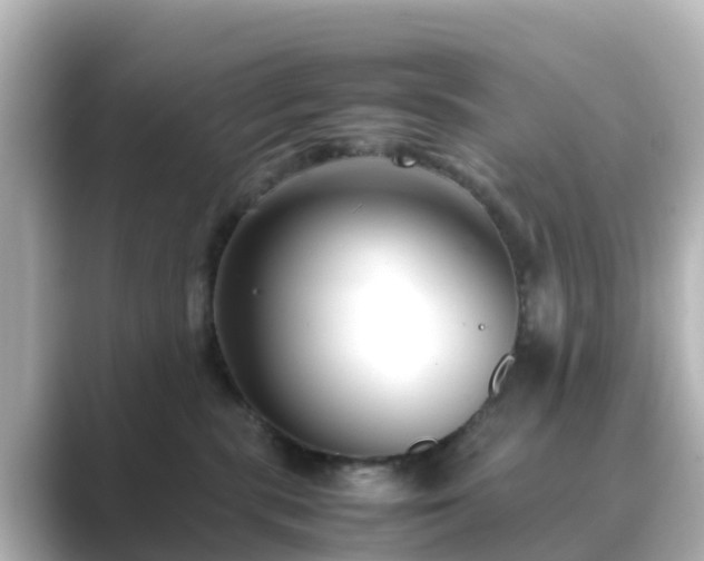 X0000089410283200706221141