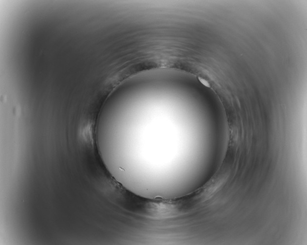 X0000089410286200706221141