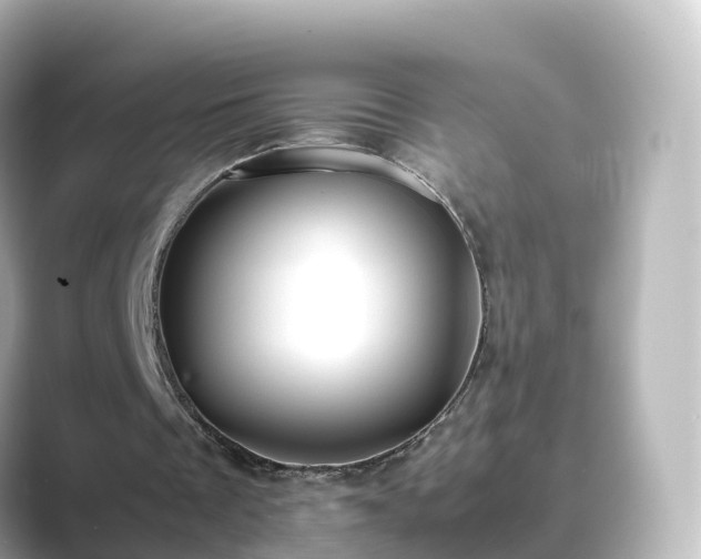 X0000089410289200706221140