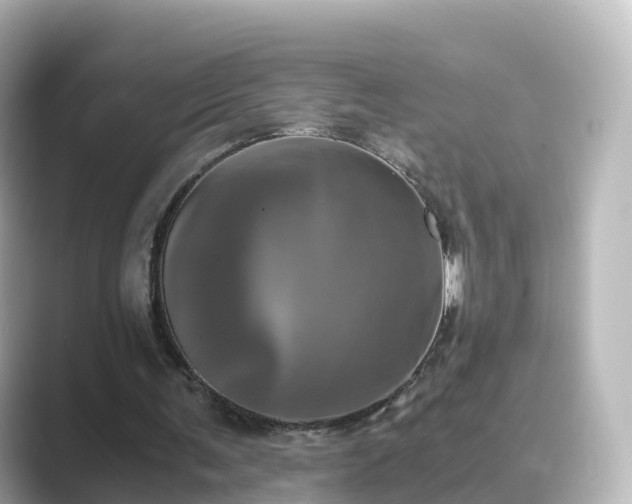 X0000089410291200706221140