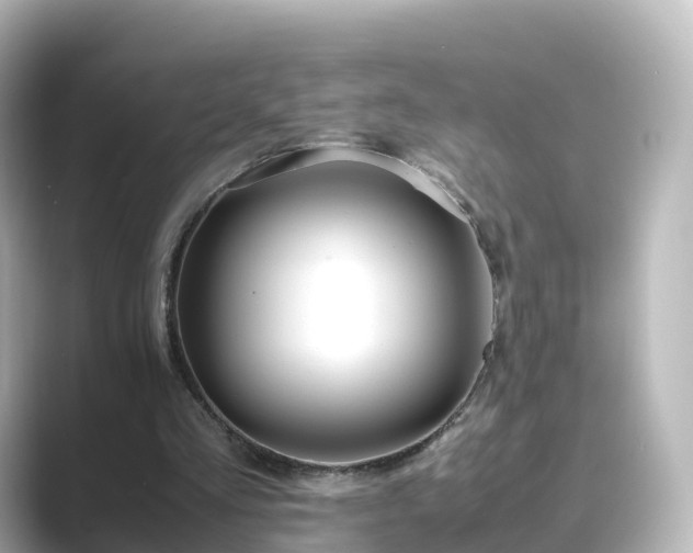 X0000089410293200706221140
