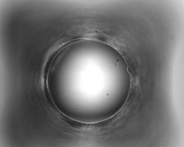 X0000089410294200706221140