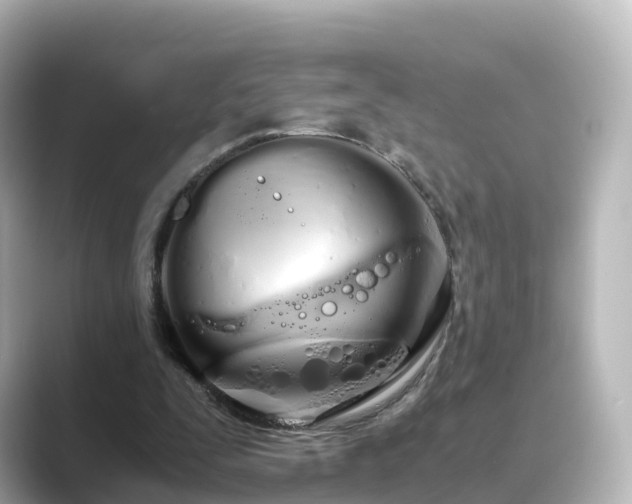 X0000089410295200706221140
