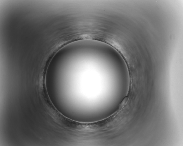 X0000089410297200706221140