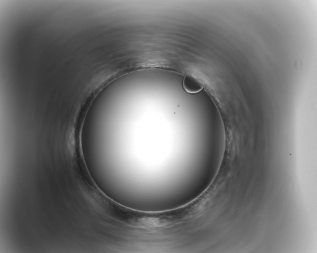X0000089410298200706221140