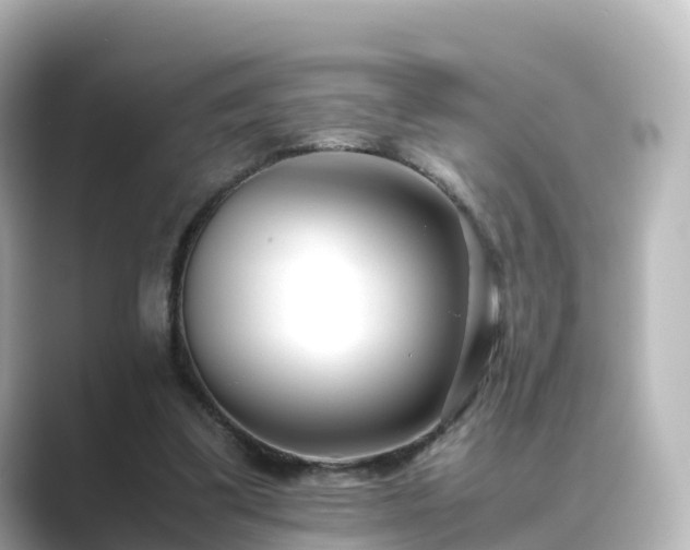 X0000089410299200706221140