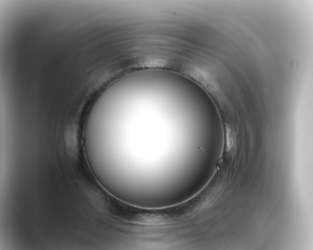 X0000089410300200706221140