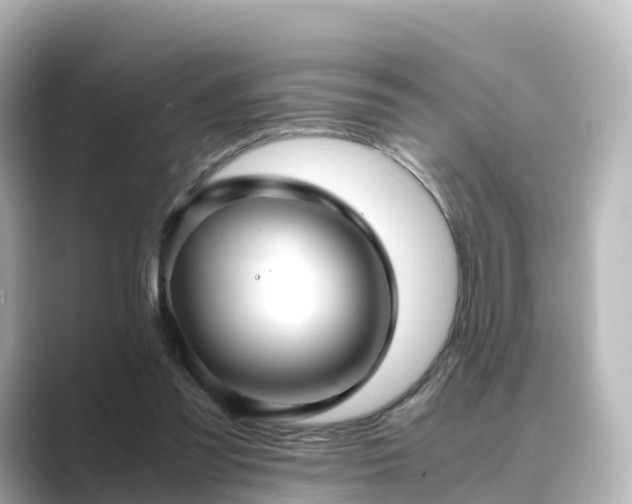 X0000089410301200706221140