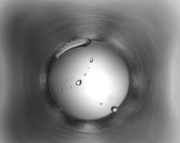 X0000089410308200706221140