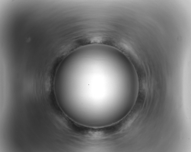 X0000089410311200706221140