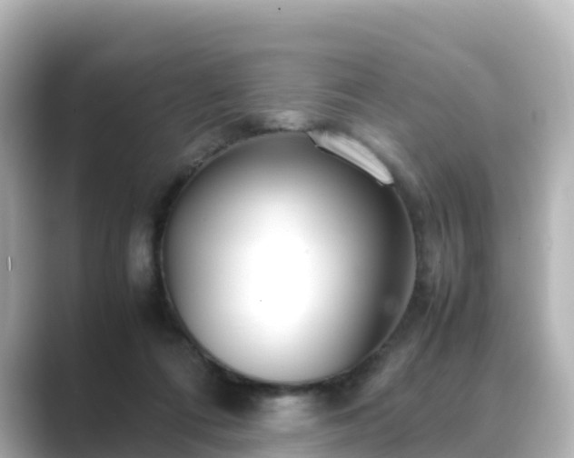 X0000089410312200706221140