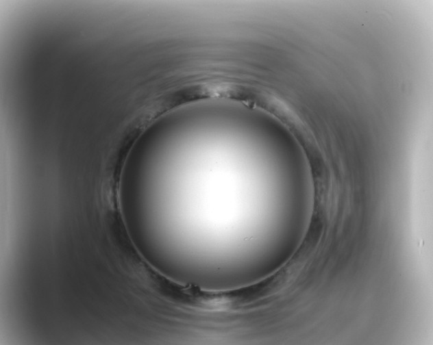 X0000089410313200706221140