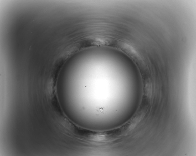 X0000089410318200706221140