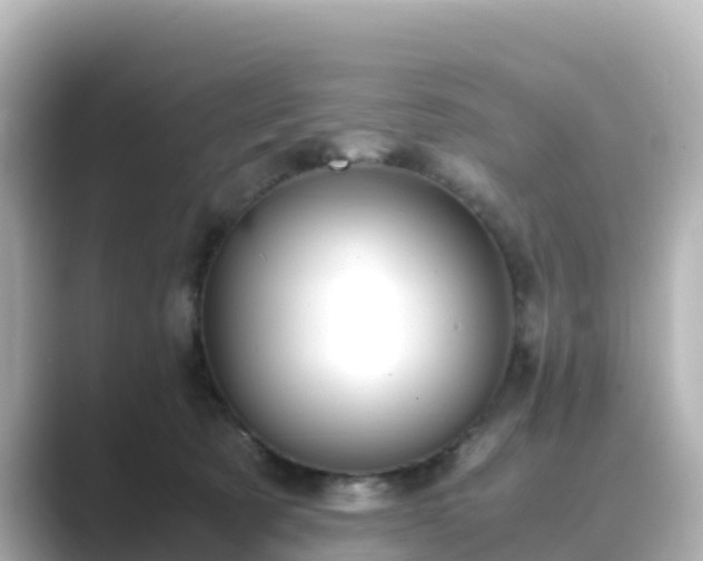 X0000089410321200706221140