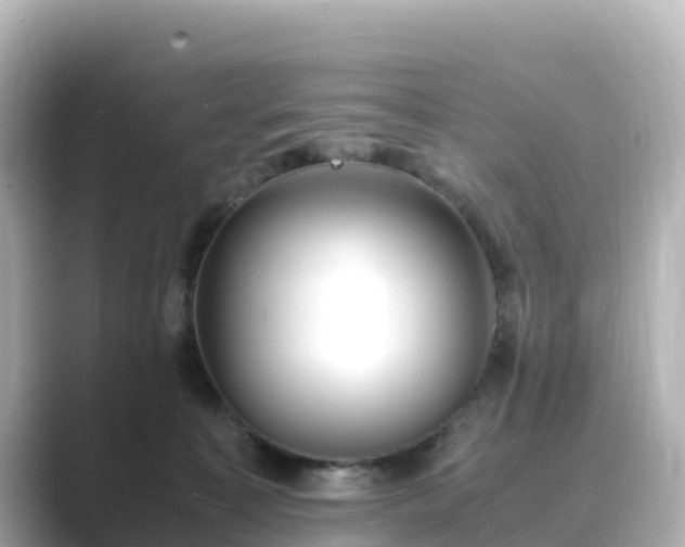 X0000089410323200706221140