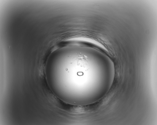 X0000089410325200706221140