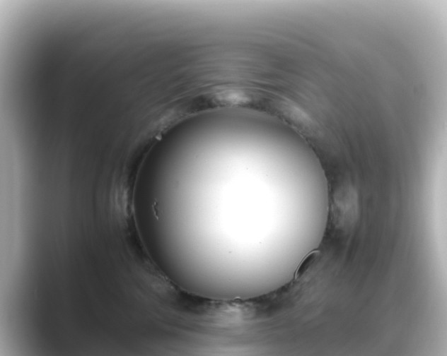 X0000089410330200706221140