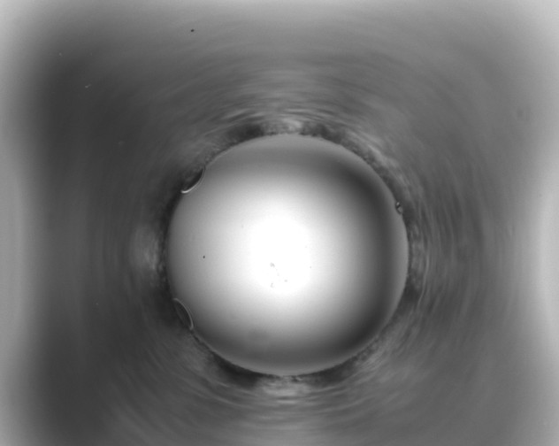 X0000089410331200706221140