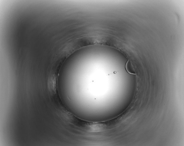 X0000089410336200706221140