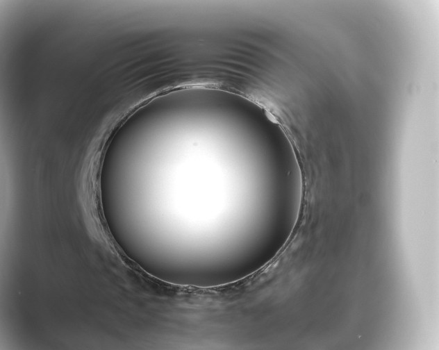 X0000089410337200706221139