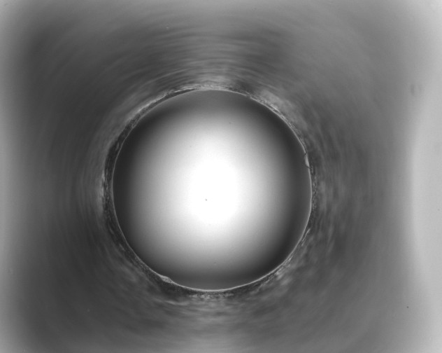 X0000089410338200706221139