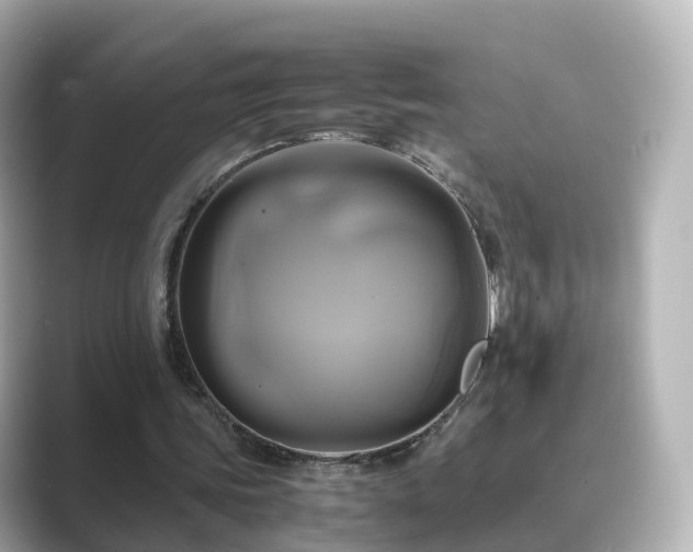 X0000089410339200706221139