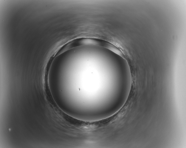 X0000089410340200706221139