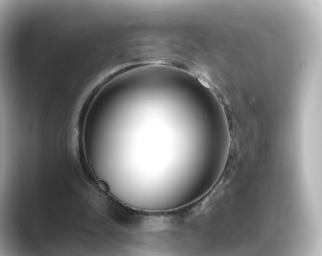 X0000089410342200706221139