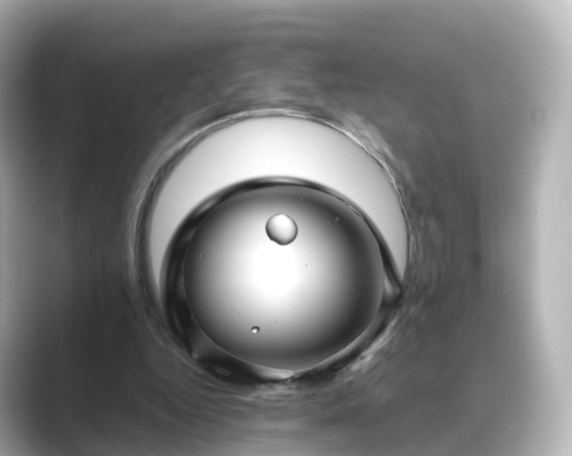 X0000089410344200706221139