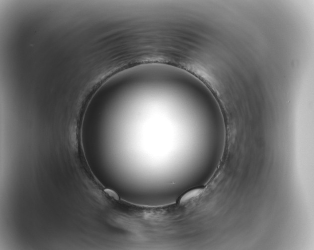X0000089410345200706221139